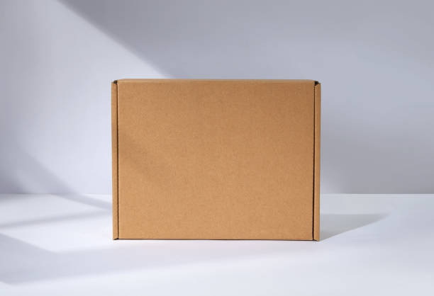 istockphoto-1457251271-612x612.jpg